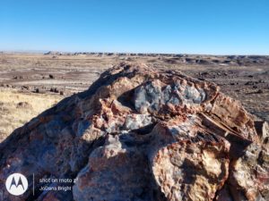 Petrified Forest NP