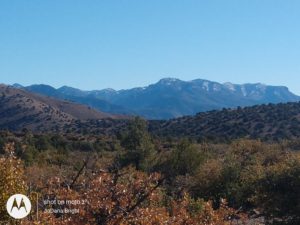 Gila NF, NM